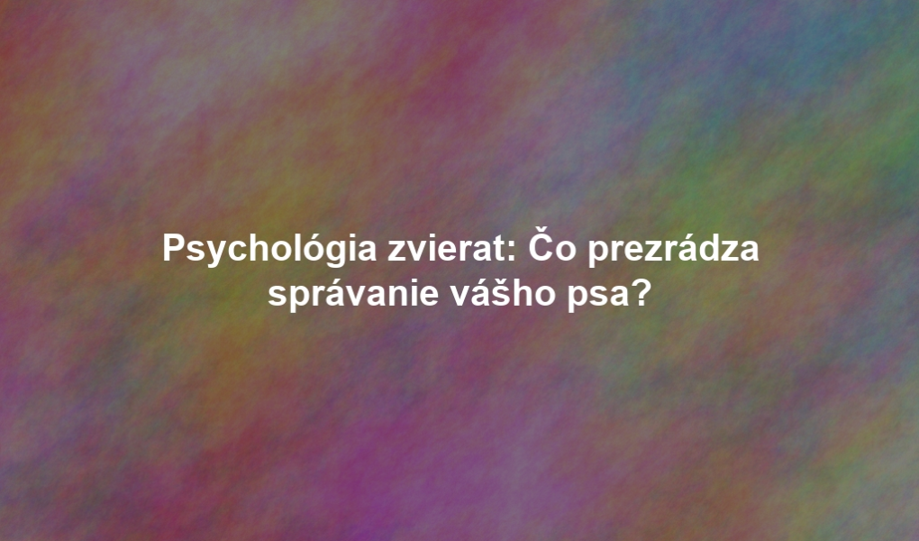 Psychológia zvierat: Čo prezrádza správanie vášho psa?
